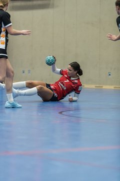 Bild 53 - A-Juniorinnen SG HH Nord - HSG Marne/Brun : Ergebnis: 32:41